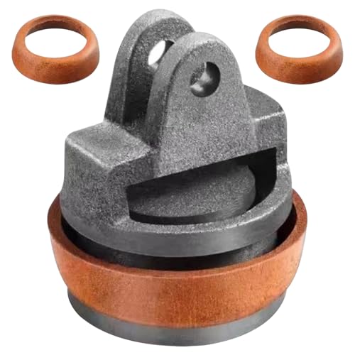 Editbar Ersatzkolben für Schwengelpumpe, Gartenpumpe, Handschwengelpumpe, Handpumpe - Neue Zylinderkolben aus Gusseisen...